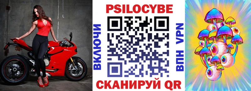Купить где  Воронеж  Псилоцибиновые грибы мицелий 